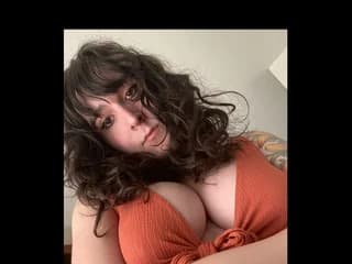 AdaraStray WebCAM 