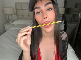 WebCAM de Transquility69