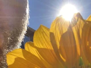 WebCAM von Woodiesays_22